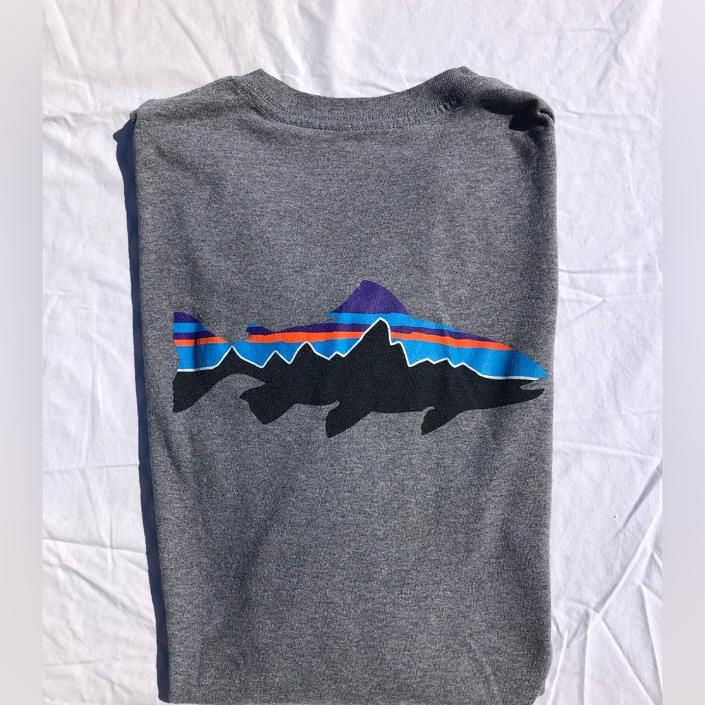 Men’s Medium Patagonia Responsibili-tee (Fitz Roy Trout)